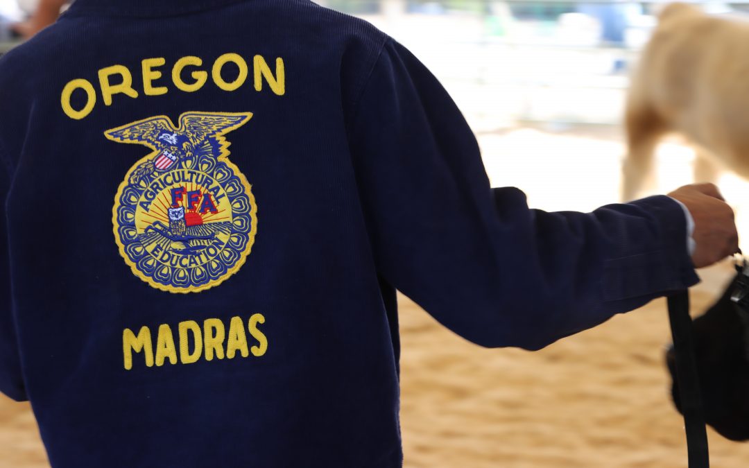 Madras FFA students excel at Jefferson County Fair